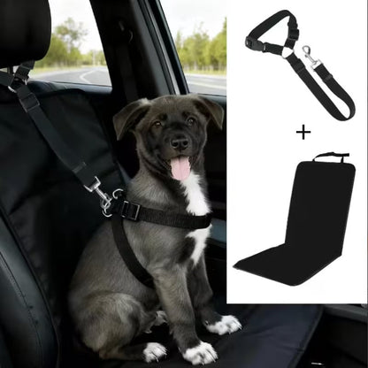 Pet Car Travel Kit