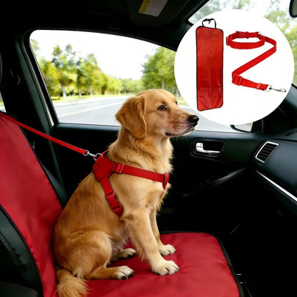 Pet Car Travel Kit