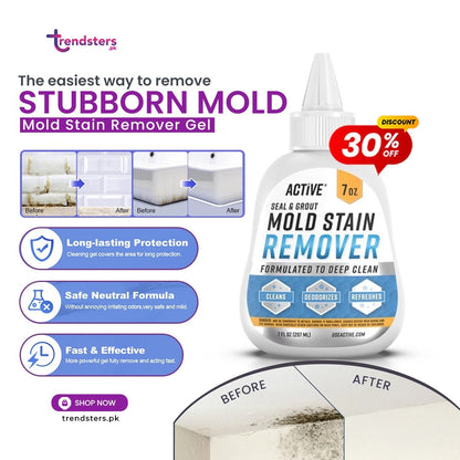 Mold Stain Remover Gel