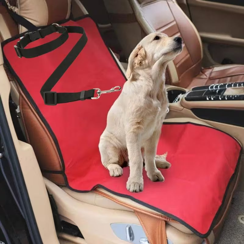 Pet Car Travel Kit
