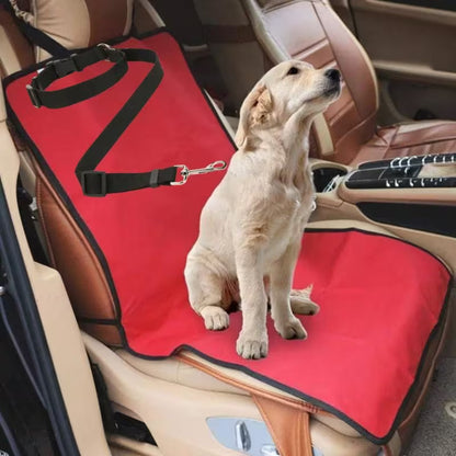 Pet Car Travel Kit
